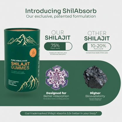 Shilajit Gummies